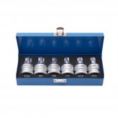 Набор головок Torx, Spline с отверстием 3/4" 6пр.(Т70, Т80, Т90, Т100, М16, М18), в кейсе