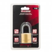 Замок навесной латунный 30мм (дужка 5мм, пространство для замка 22х15мм, 3 ключа) в блистере