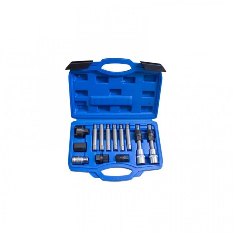 Набор для снятия шкивов генераторов:1/2" биты: М10, Т50х110мм, 10мм; биты: М8, М10, Н8, Н10, Т40, Т50x75мм; битодержатель 1/2"хF10мм, (13пр.) в кейсе.